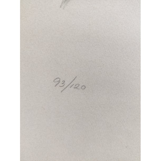 Lizzi Mallow litografi, komposition, 1981