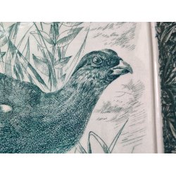 Stort flot Nym�lle fad af Mads Stage, gr�n urfugl