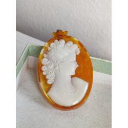 Cam� vedh�ng i resin