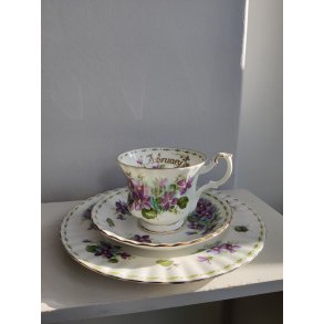 February m�nedskop med violer fra Royal Albert, ca. 1970