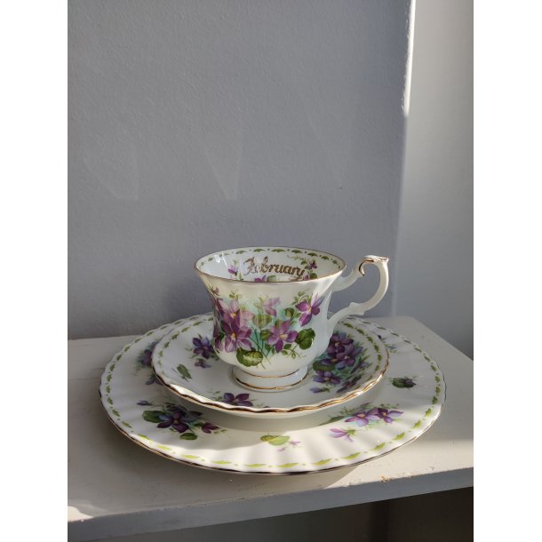 February m�nedskop med violer fra Royal Albert, ca. 1970