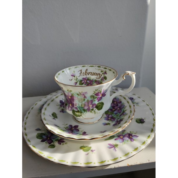 February m�nedskop med violer fra Royal Albert, ca. 1970