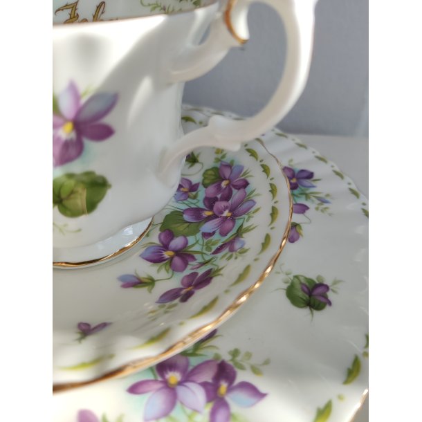 February m�nedskop med violer fra Royal Albert, ca. 1970