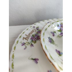 February m�nedskop med violer fra Royal Albert, ca. 1970