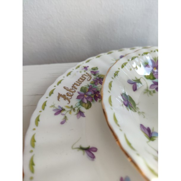 February m�nedskop med violer fra Royal Albert, ca. 1970