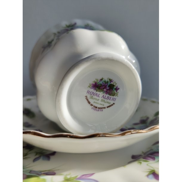 February m�nedskop med violer fra Royal Albert, ca. 1970