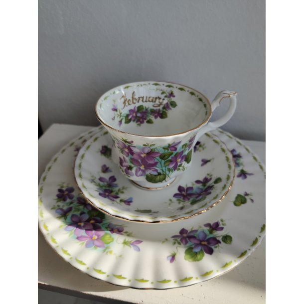 February m�nedskop med violer fra Royal Albert, ca. 1970