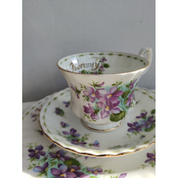 February m�nedskop med violer fra Royal Albert, ca. 1970