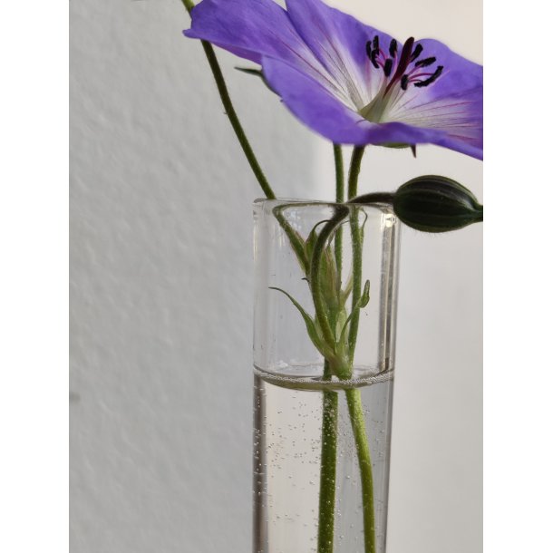 Lille orkid�vase i klart glas
