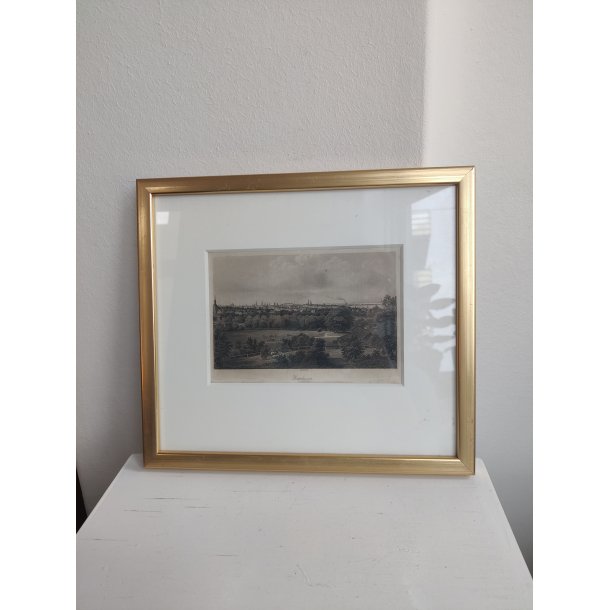 Kopenhagen antikt tryk i ramme