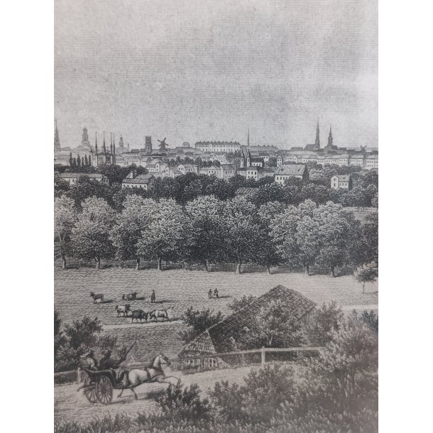 Kopenhagen antikt tryk i ramme