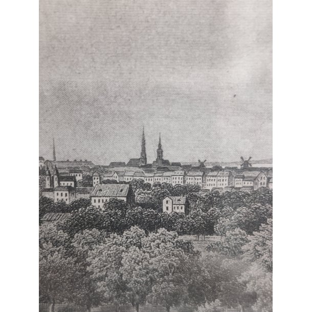 Kopenhagen antikt tryk i ramme