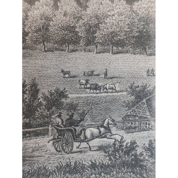 Kopenhagen antikt tryk i ramme