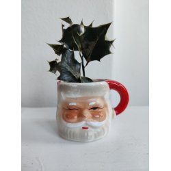 Mini krus med julemanden