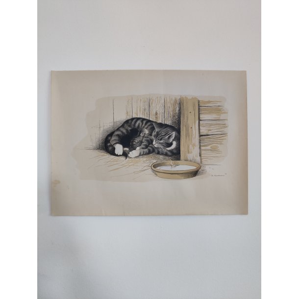 Ib Andersen tryk af kattemor og killinger, 1941