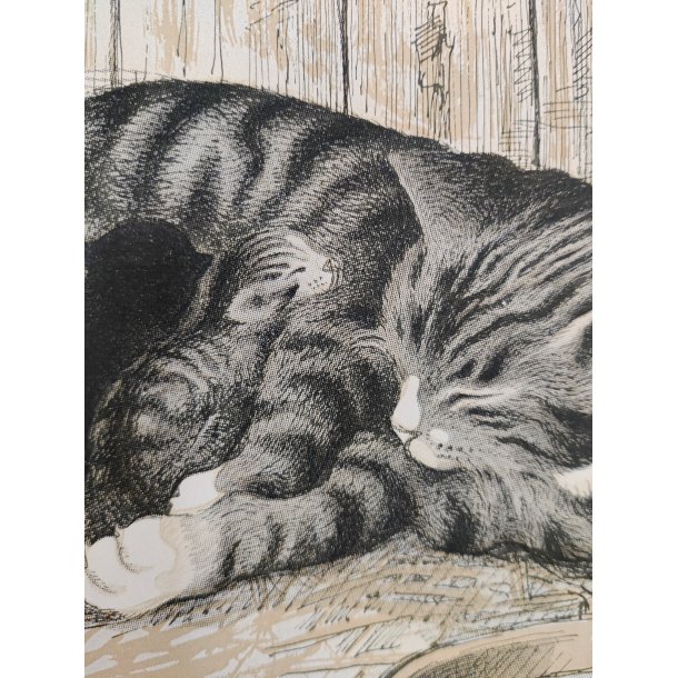 Ib Andersen tryk af kattemor og killinger, 1941