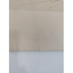 Ib Andersen tryk af kattemor og killinger, 1941