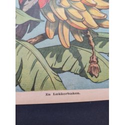 "En L�kkerbisken". Org. forside fra Familie Journal 1929