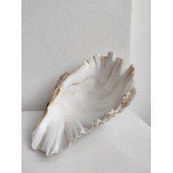 K�mpe muslingeskal