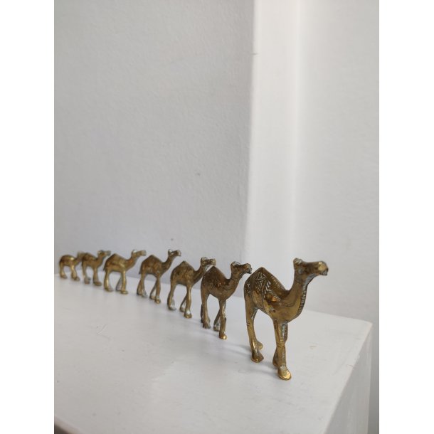 Karavane med 7 sm� messingkameler