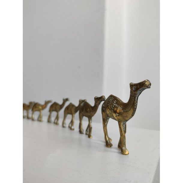 Karavane med 7 sm� messingkameler