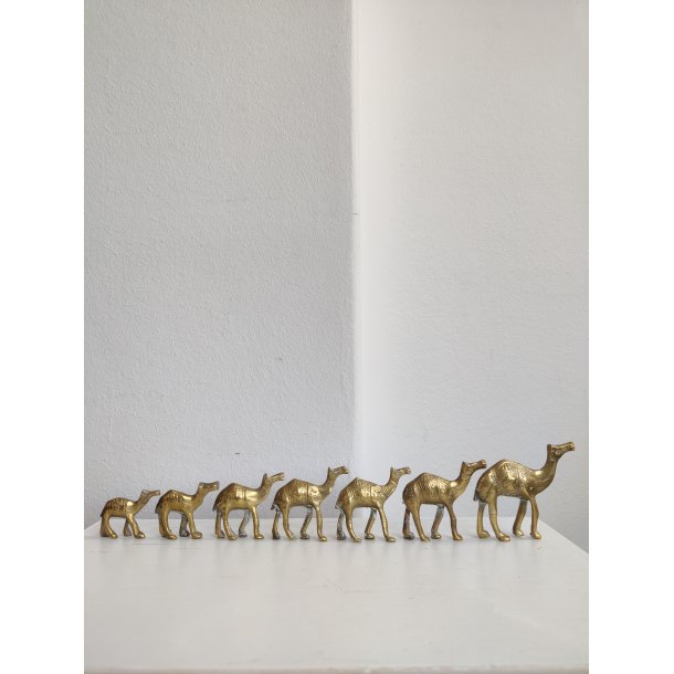 Karavane med 7 sm� messingkameler