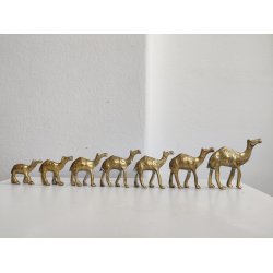 Karavane med 7 sm� messingkameler