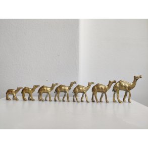 Karavane med 7 sm� messingkameler