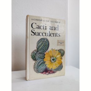 Cacti & succulents, 1969
