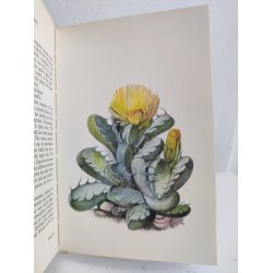 Cacti &amp; succulents, 1969