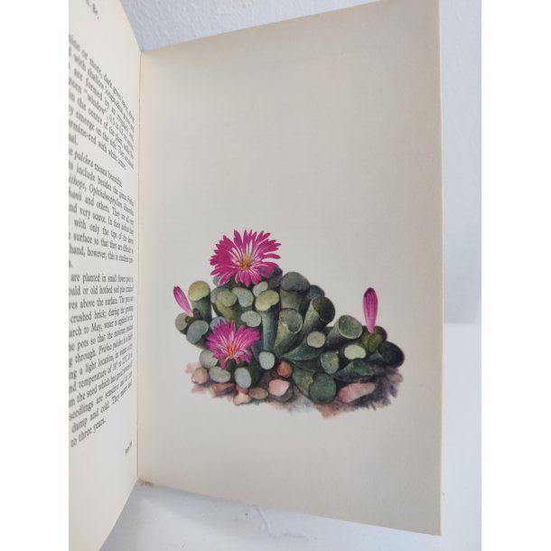 Cacti &amp; succulents, 1969
