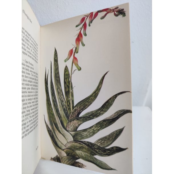 Cacti &amp; succulents, 1969