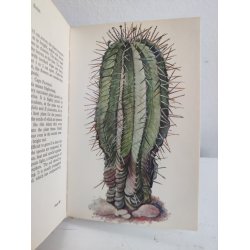 Cacti &amp; succulents, 1969