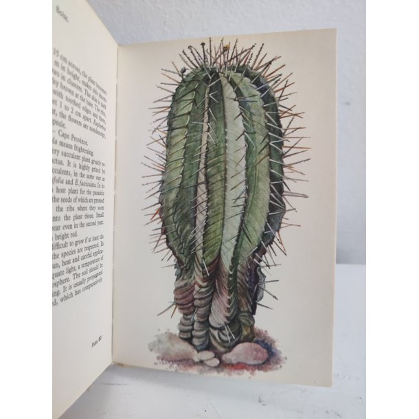 Cacti &amp; succulents, 1969