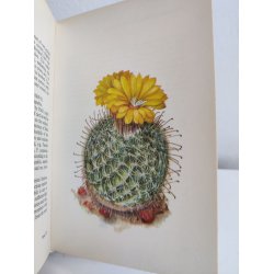 Cacti &amp; succulents, 1969