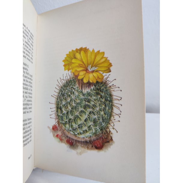 Cacti &amp; succulents, 1969