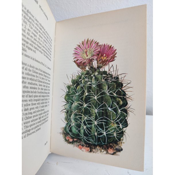 Cacti &amp; succulents, 1969
