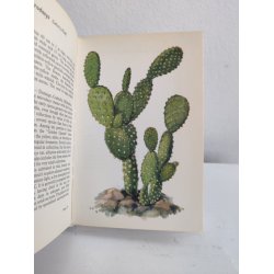 Cacti &amp; succulents, 1969