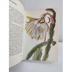 Cacti &amp; succulents, 1969