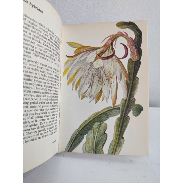 Cacti &amp; succulents, 1969