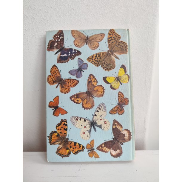 Sommerfugle i farver 1