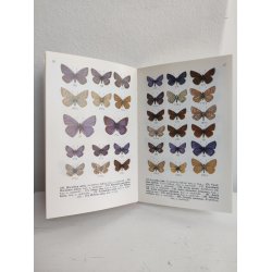 Sommerfugle i farver 1