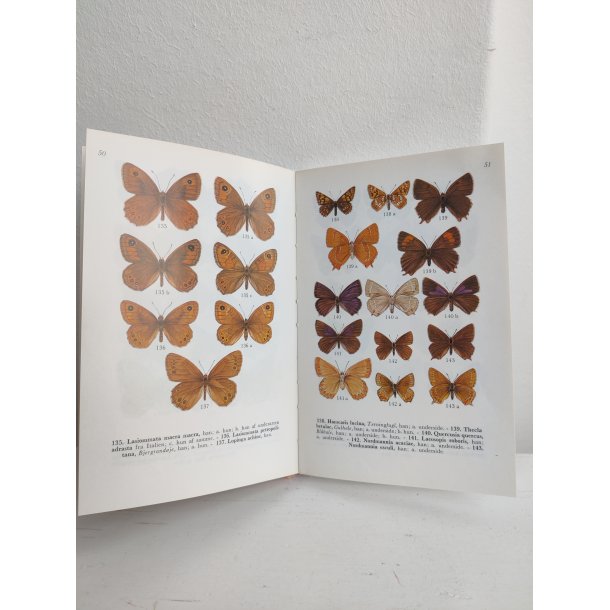 Sommerfugle i farver 1