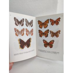 Sommerfugle i farver 1