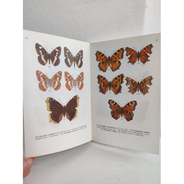 Sommerfugle i farver 1