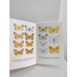 Sommerfugle i farver 1