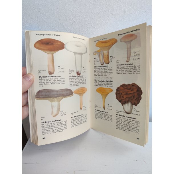 Den ny Svampebog, 1940'erne