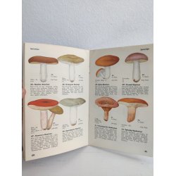 Den ny Svampebog, 1940'erne