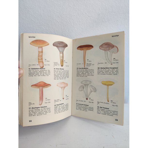 Den ny Svampebog, 1940'erne