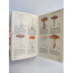 Den ny Svampebog, 1940'erne